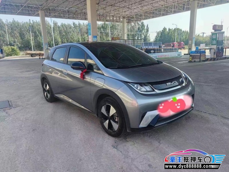 24年比亚迪海豚轿车抵押车出售