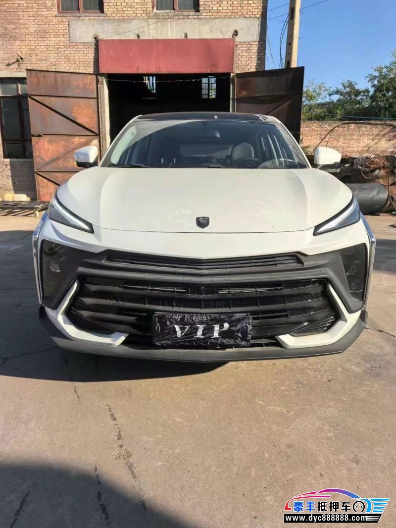 24年东风风行T5轿车抵押车出售