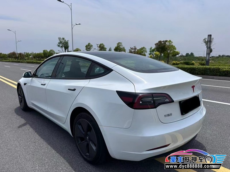 23年特斯拉MODEL 3轿车抵押车出售