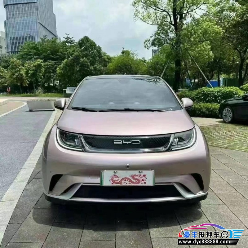 23年比亚迪海豚轿车抵押车出售