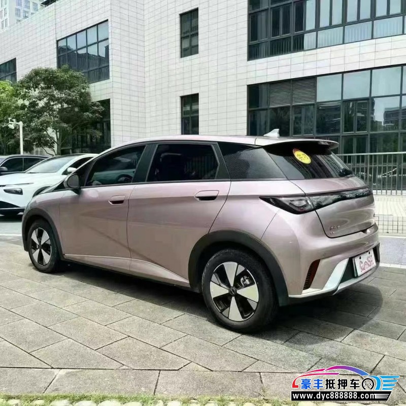 23年比亚迪海豚轿车抵押车出售