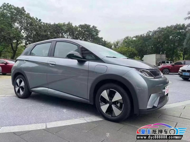 24年比亚迪海豚轿车抵押车出售