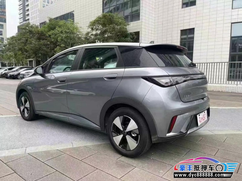 24年比亚迪海豚轿车抵押车出售