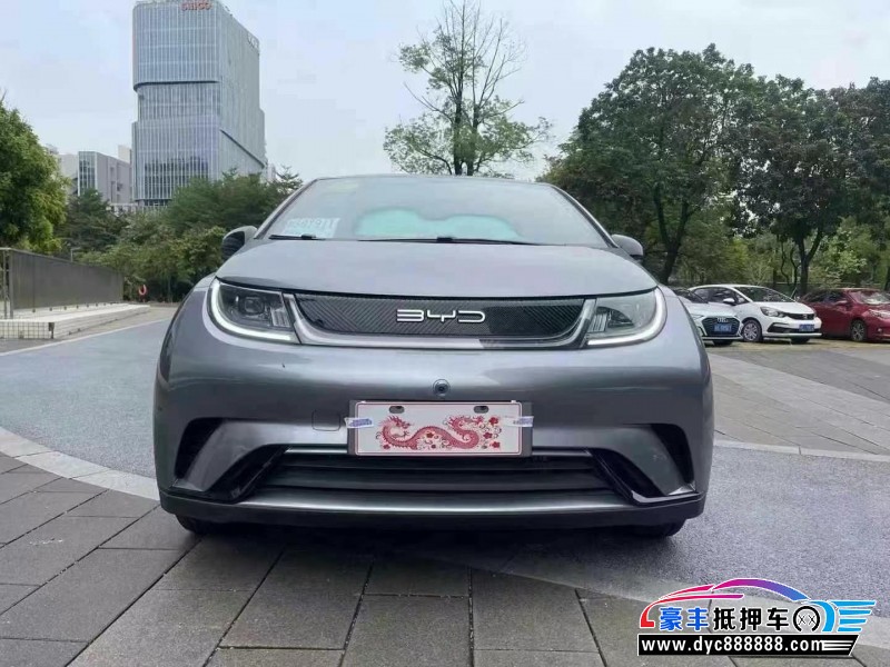 24年比亚迪海豚轿车抵押车出售