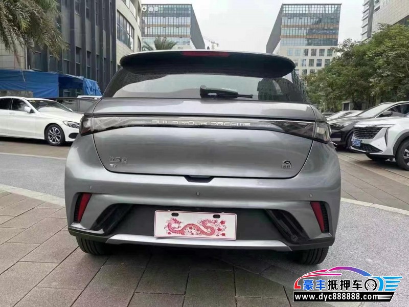 24年比亚迪海豚轿车抵押车出售