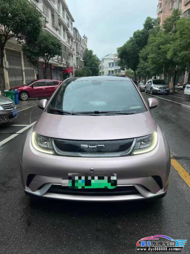 23年比亚迪海豚轿车抵押车出售