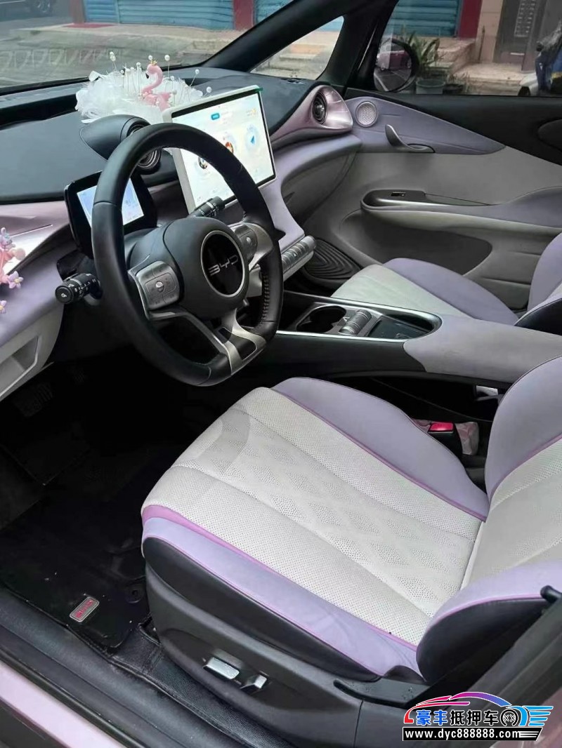 23年比亚迪海豚轿车抵押车出售