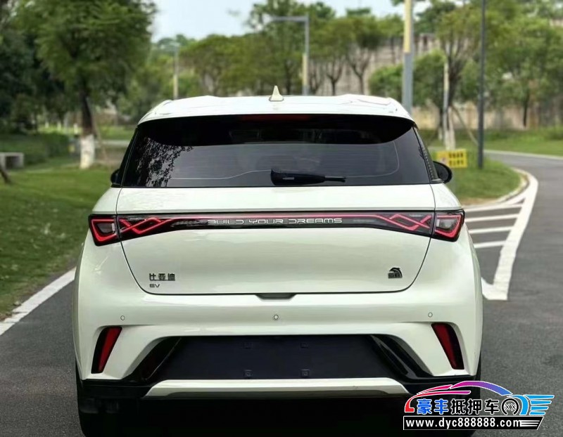 23年比亚迪海豚轿车抵押车出售