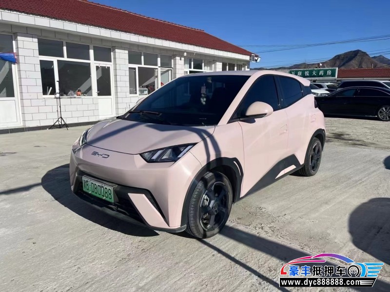 23年比亚迪海鸥轿车抵押车出售