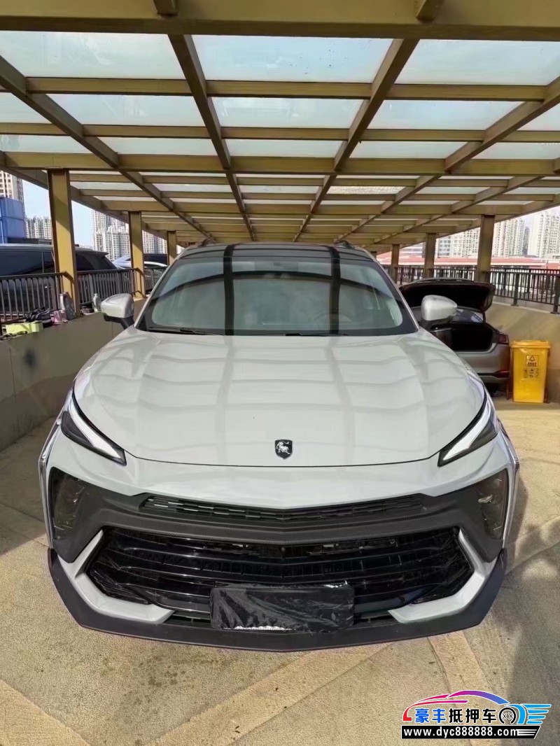 24年东风风行T5轿车抵押车出售