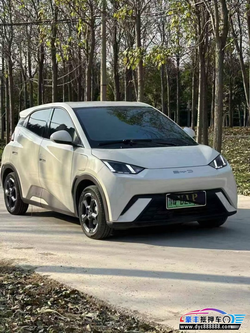 24年比亚迪海鸥轿车抵押车出售