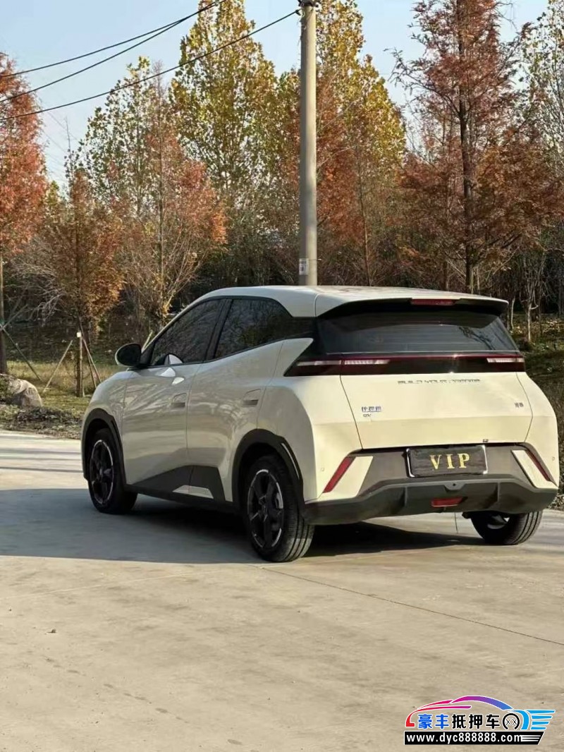 24年比亚迪海鸥轿车抵押车出售