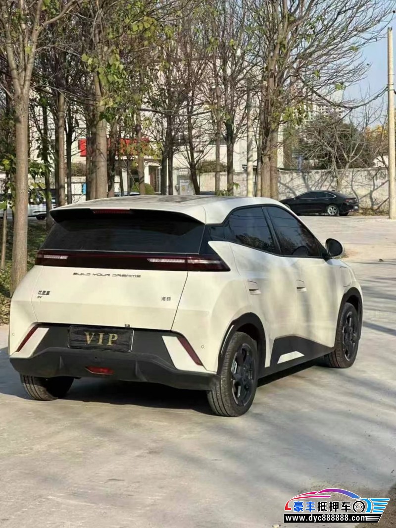 24年比亚迪海鸥轿车抵押车出售