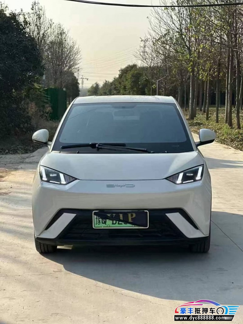 24年比亚迪海鸥轿车抵押车出售