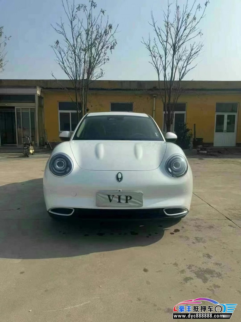 24年欧拉好猫轿车抵押车出售