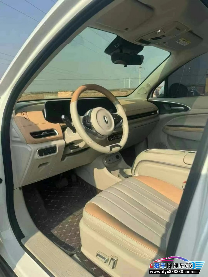 24年欧拉好猫轿车抵押车出售