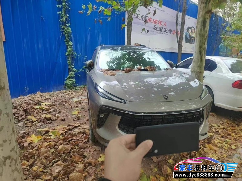 21年东风风行T5轿车抵押车出售