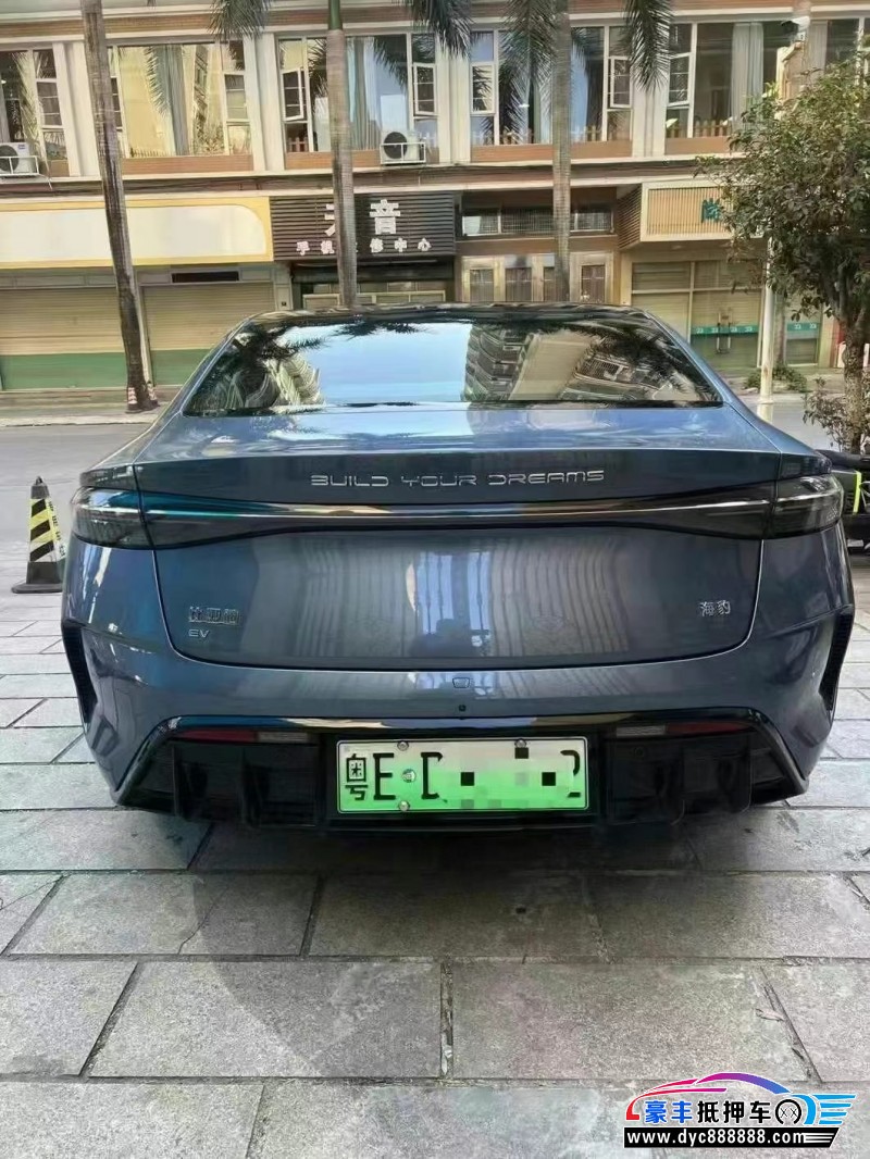 24年比亚迪海豹轿车抵押车出售