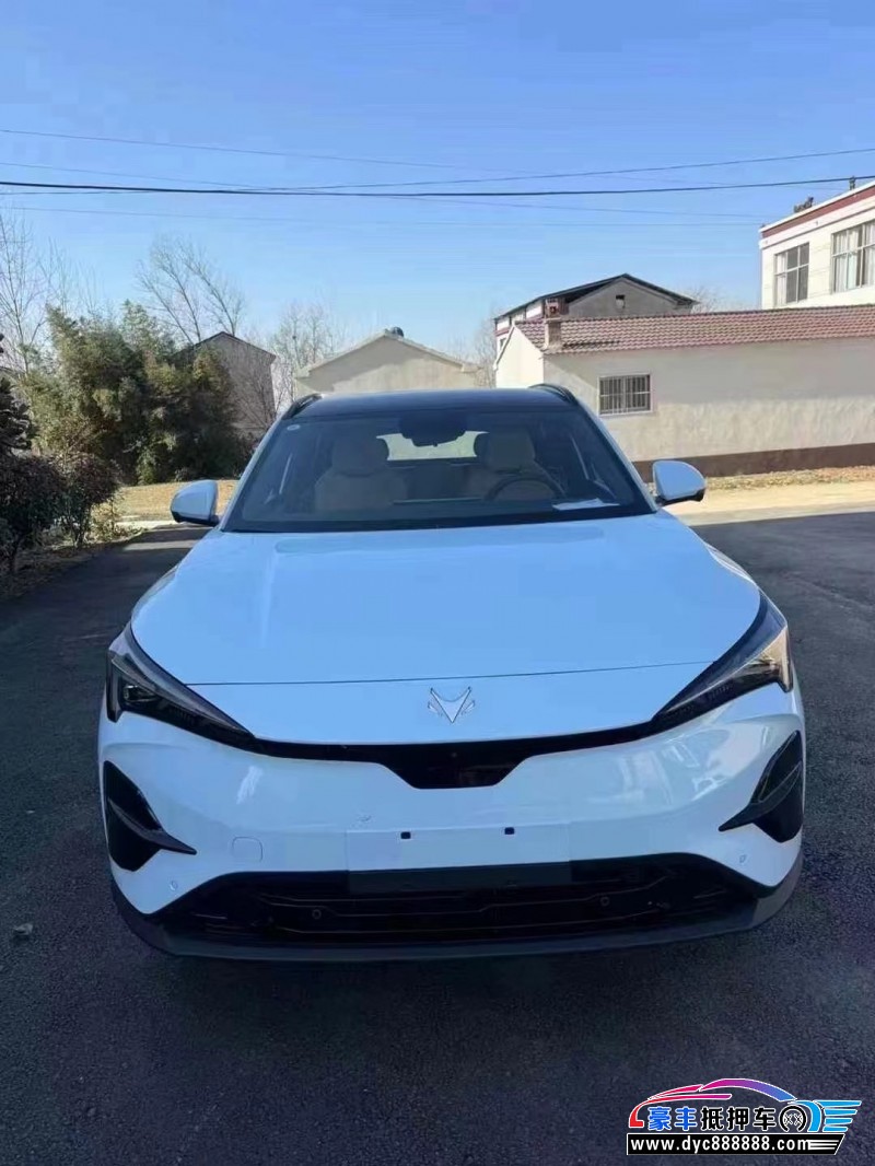 24年极狐阿尔法T轿车抵押车出售