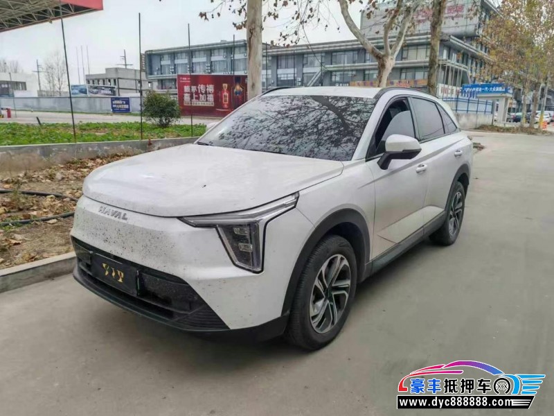 24年长城哈佛枭龙轿车抵押车出售