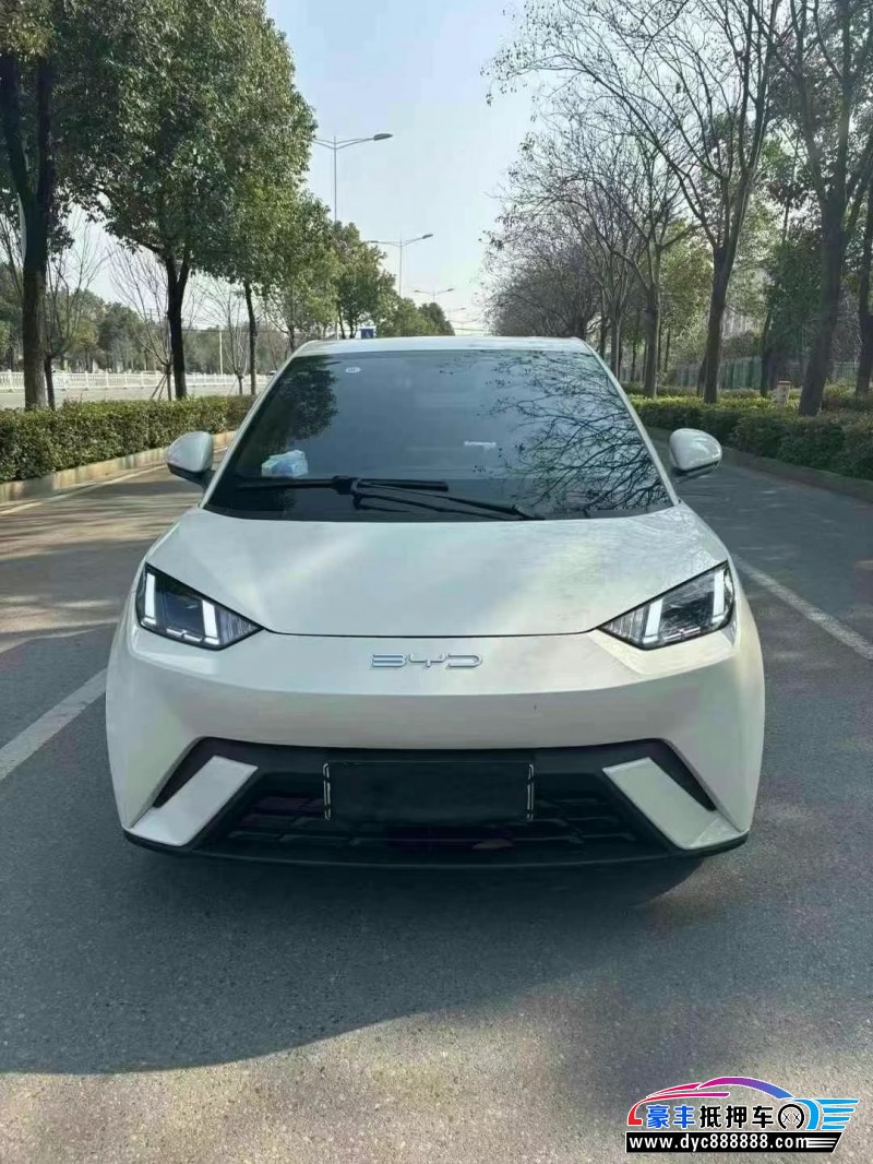 24年比亚迪海鸥轿车抵押车出售