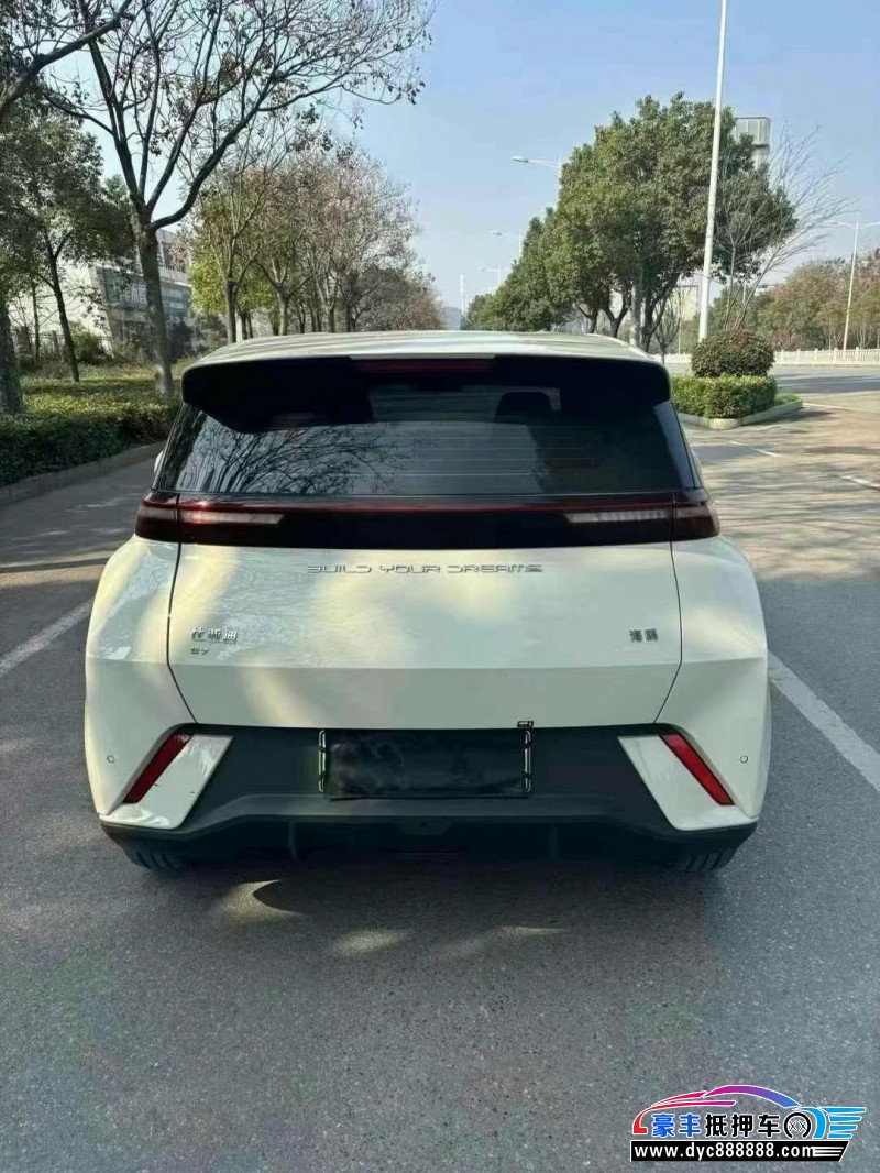 24年比亚迪海鸥轿车抵押车出售