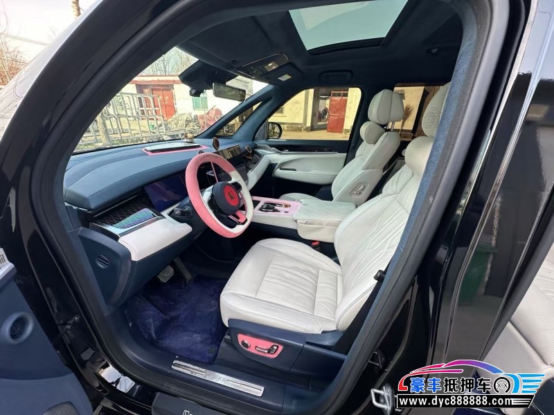 24年极氪009MPV抵押车出售