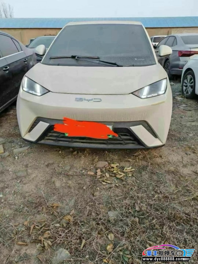 23年比亚迪海鸥轿车抵押车出售