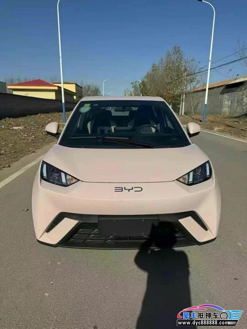 24年比亚迪海鸥轿车抵押车出售