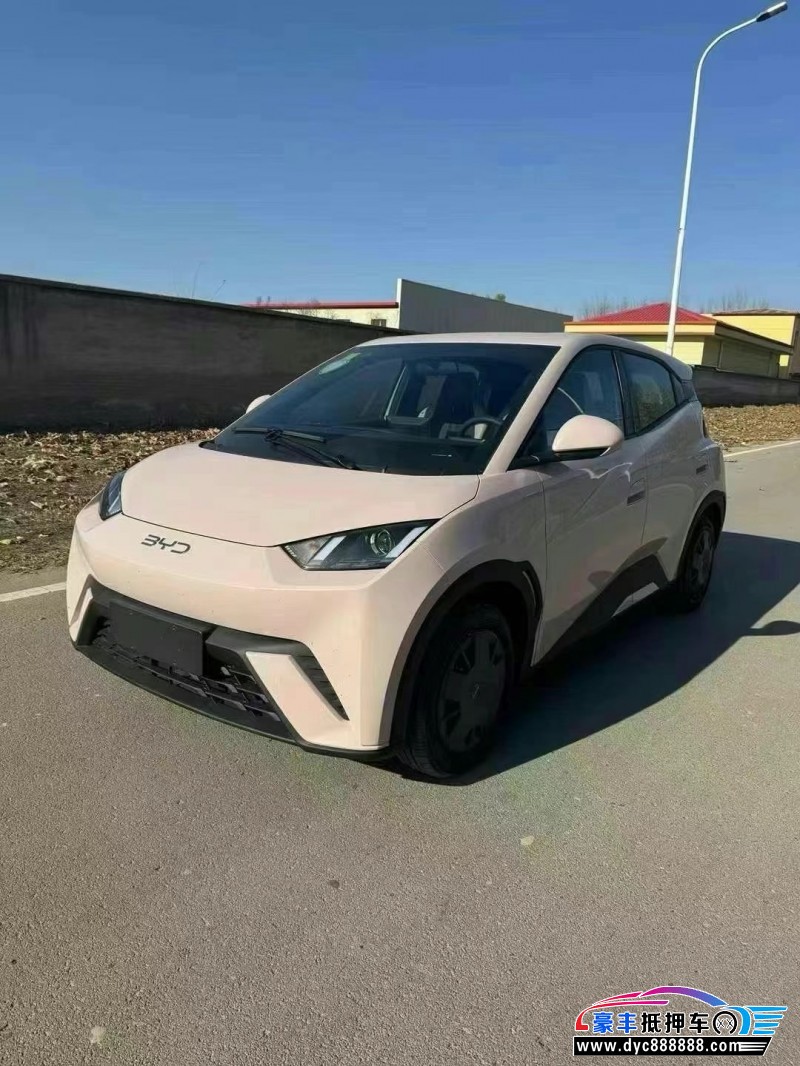 24年比亚迪海鸥轿车抵押车出售