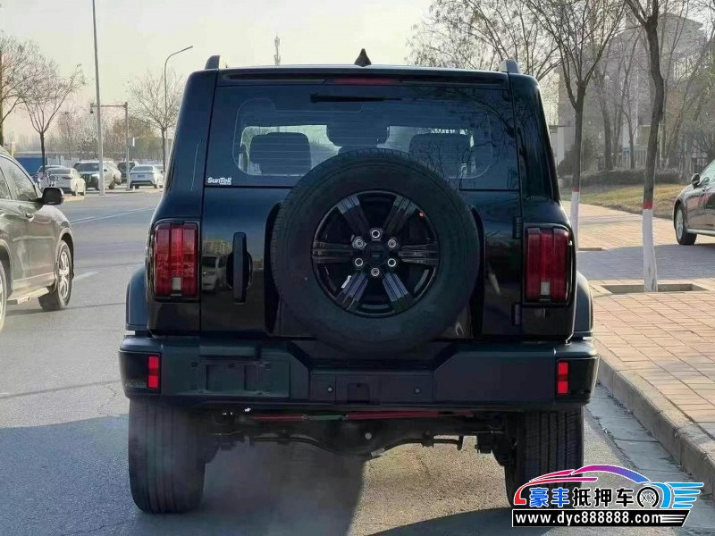 24年WEY坦克300轿车抵押车出售