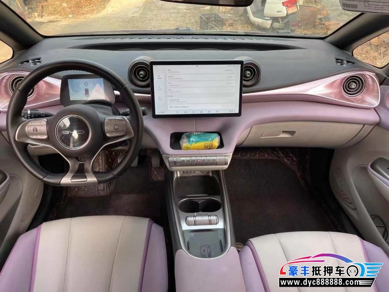 22年比亚迪海豚SUV抵押车出售