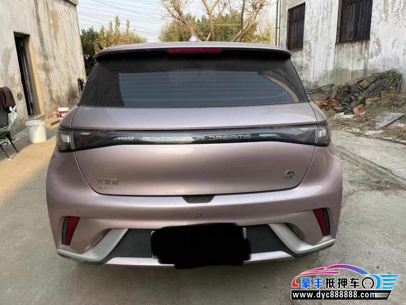 22年比亚迪海豚SUV抵押车出售