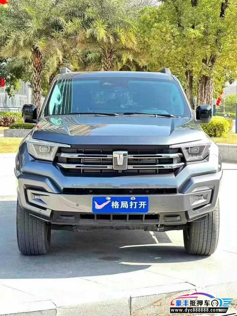 24年WEY坦克400轿车抵押车出售