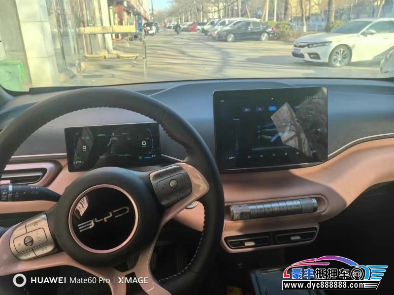 24年比亚迪海鸥轿车抵押车出售