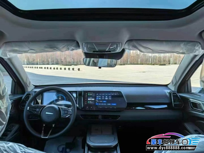 24年长城哈佛枭龙轿车抵押车出售