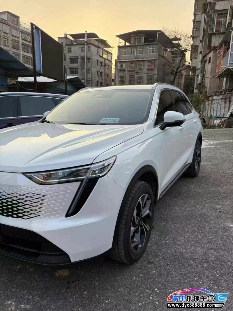 24年长城哈佛枭龙轿车抵押车出售