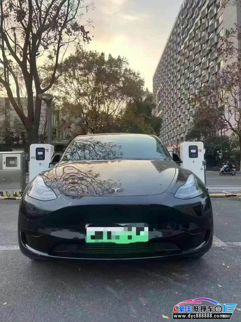 23年特斯拉Model Y轿车抵押车出售
