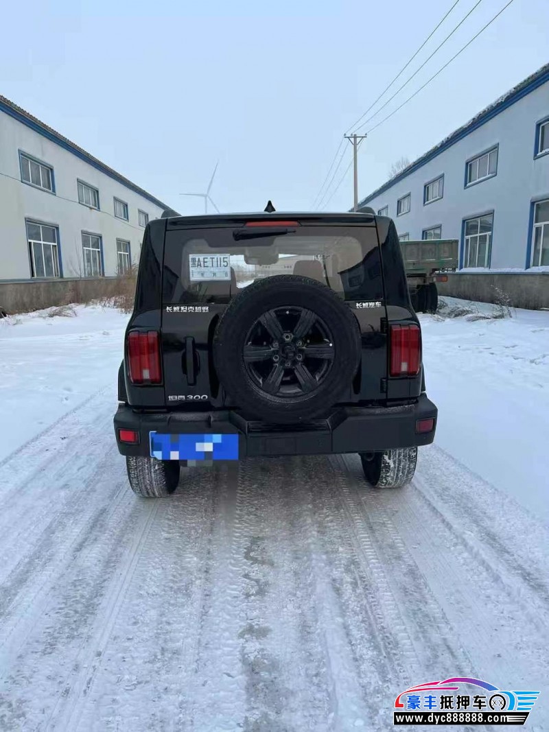 23年WEY坦克300轿车抵押车出售