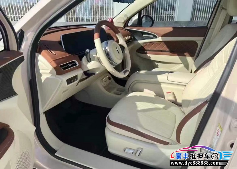 24年欧拉好猫轿车抵押车出售