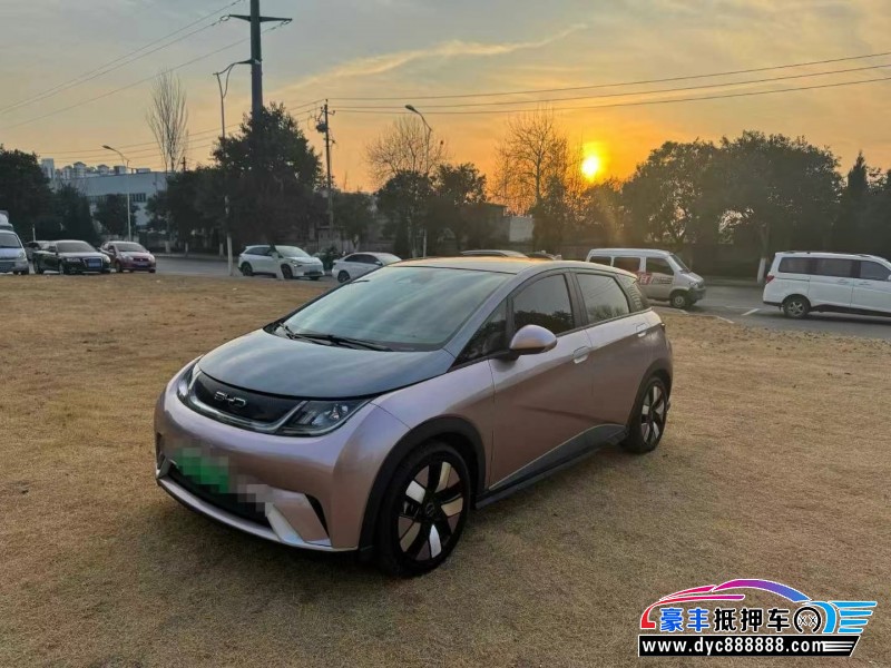 22年比亚迪海豚轿车抵押车出售