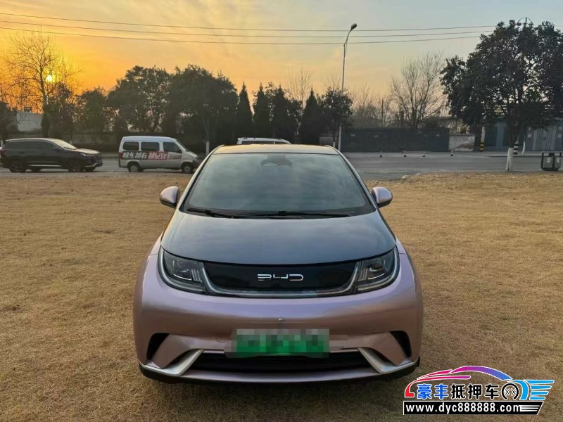 22年比亚迪海豚轿车抵押车出售