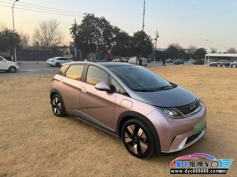 22年比亚迪海豚轿车抵押车出售