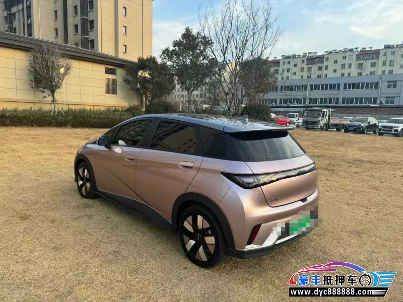 22年比亚迪海豚轿车抵押车出售