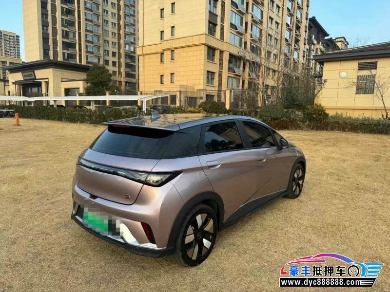 22年比亚迪海豚轿车抵押车出售