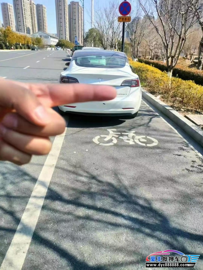 21年特斯拉MODEL 3轿车抵押车出售