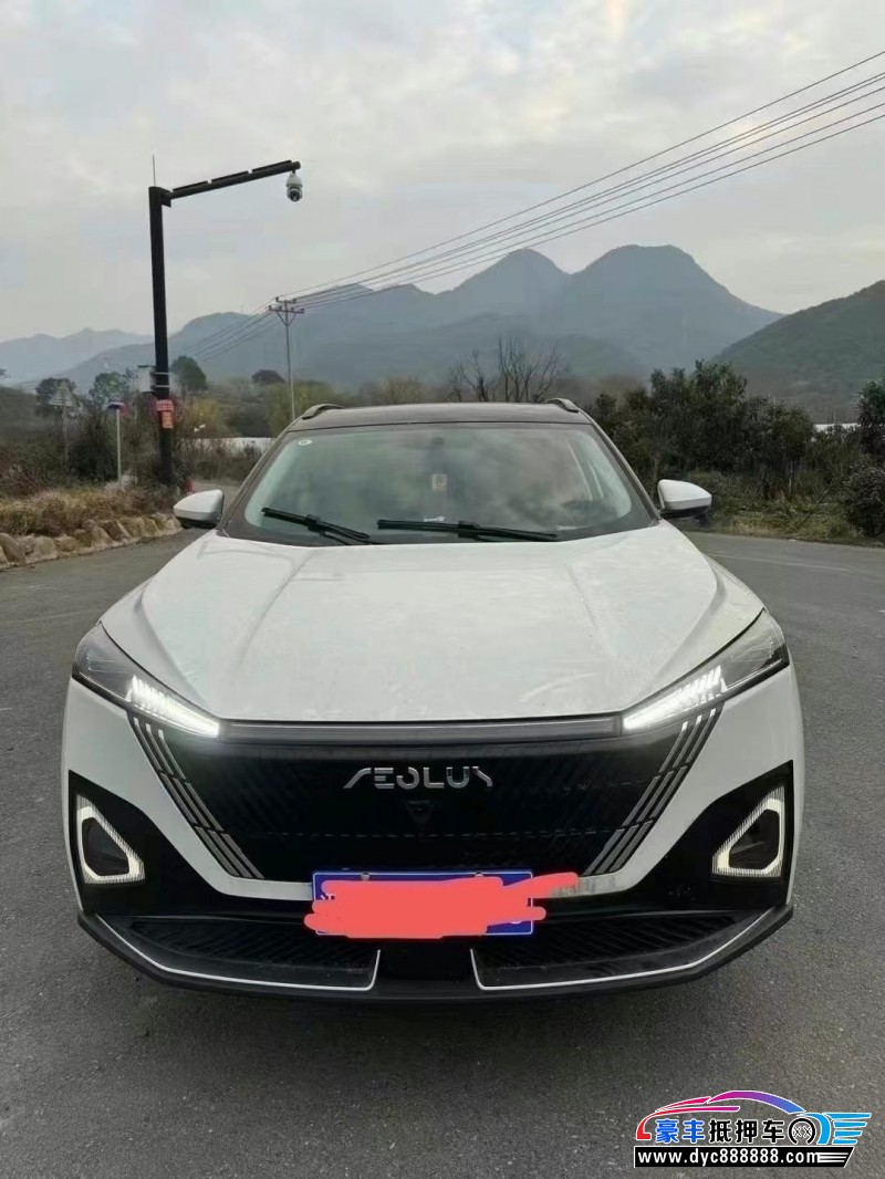 24年东风风神浩瀚轿车抵押车出售