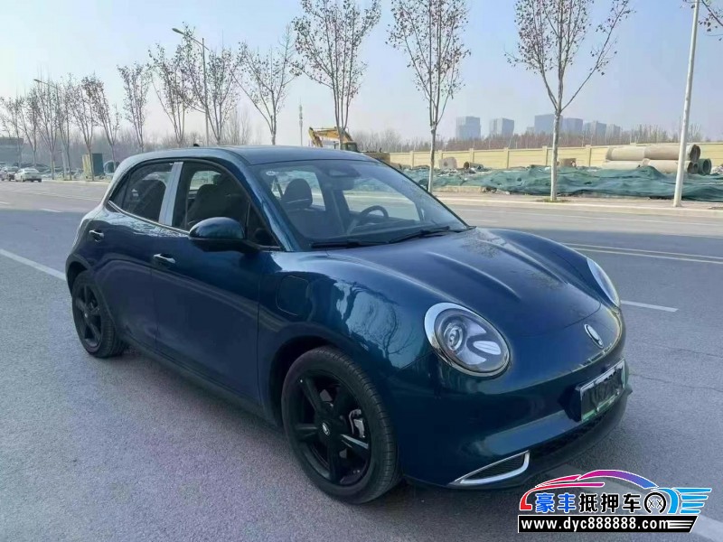 24年欧拉好猫轿车抵押车出售