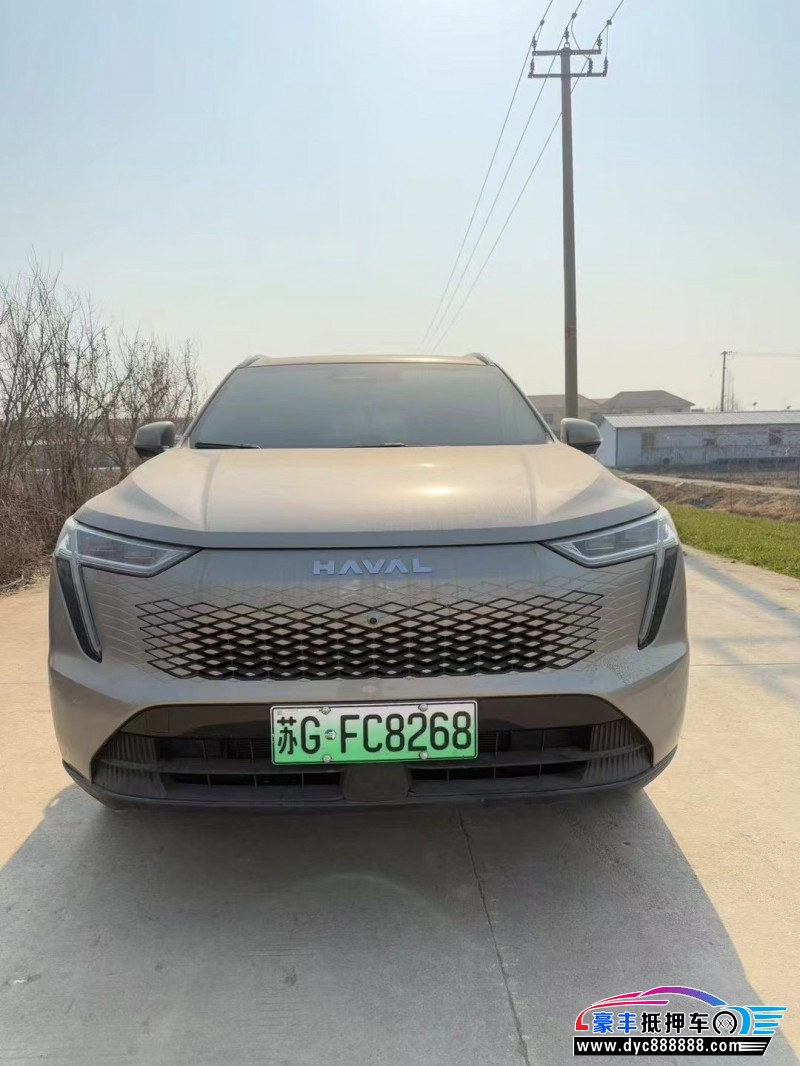 23年长城哈佛枭龙轿车抵押车出售