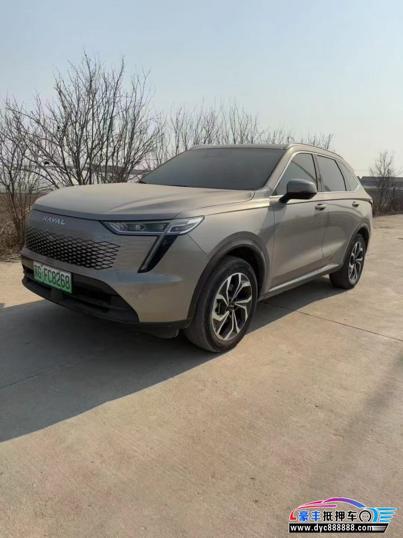 23年长城哈佛枭龙轿车抵押车出售